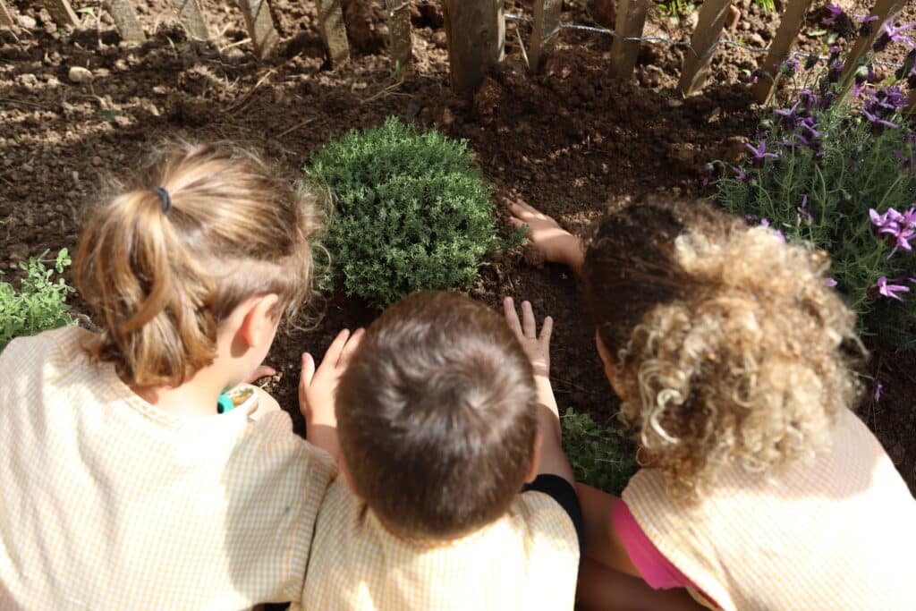 Un groupe de trois enfants de l'école maternelle de Villefranche-sur-Mer plantent du thym lors d'un atelier de plantation éducatif au jardin Narvik.