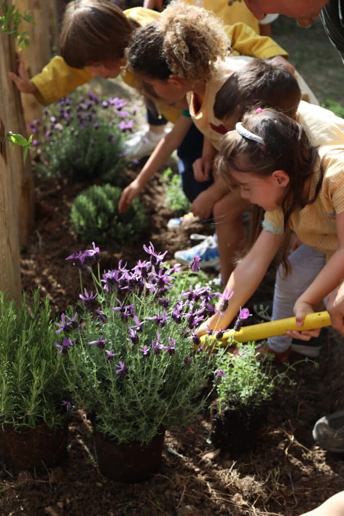 Un groupe d'enfants de l'école maternelle de Villefranche-sur-Mer finissent d'enterrer de nouvelles plantes lors d'un atelier de plantation éducatif.