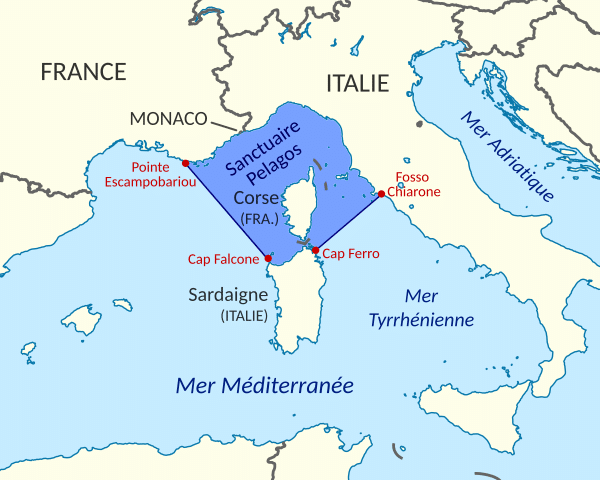 Carte délimitant la zone du Sanctuaire Pelagos